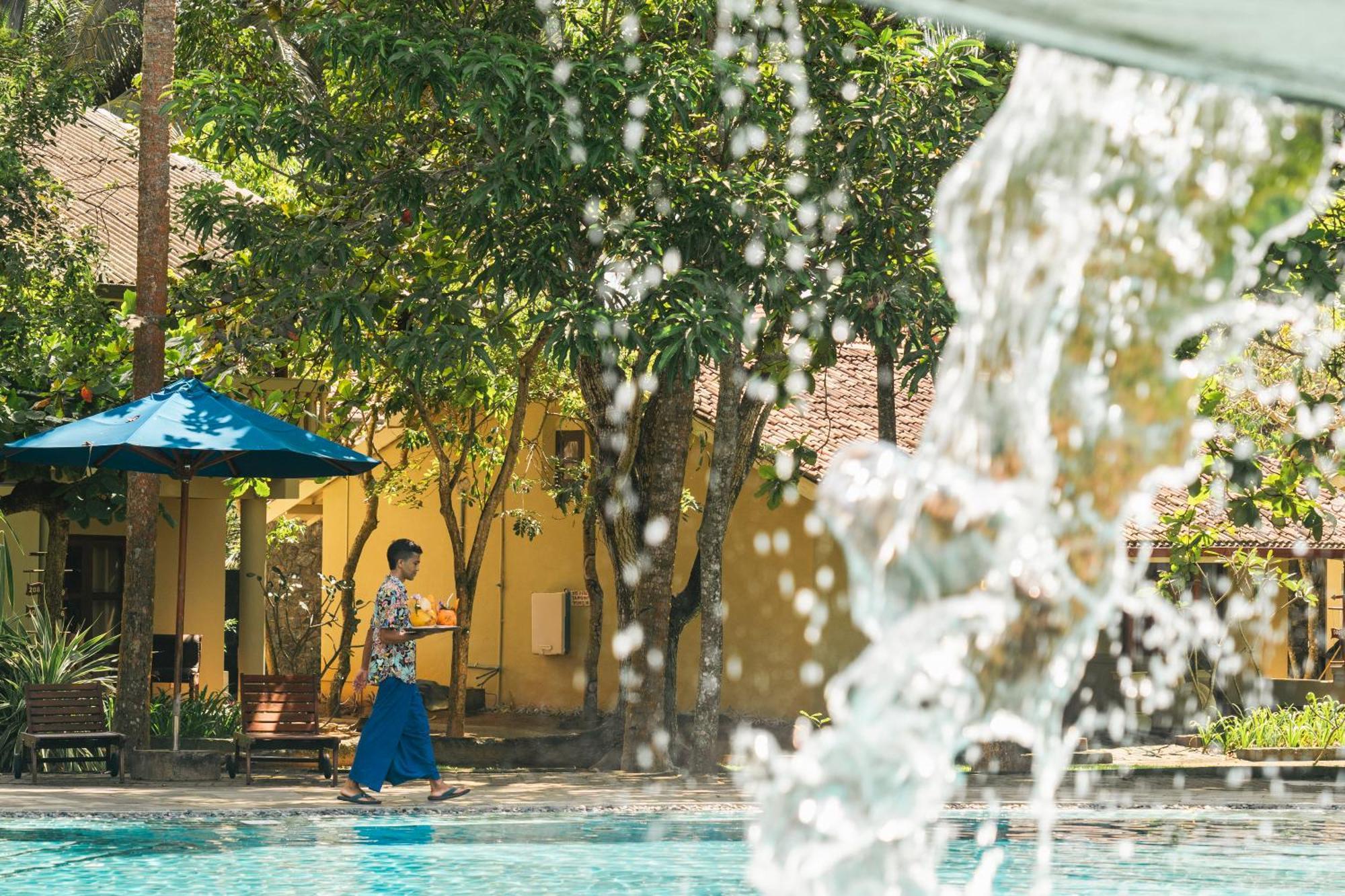 Siddhalepa Ayurveda Resort - All Meals, Ayurveda Treatment And Yoga Wadduwa Eksteriør billede