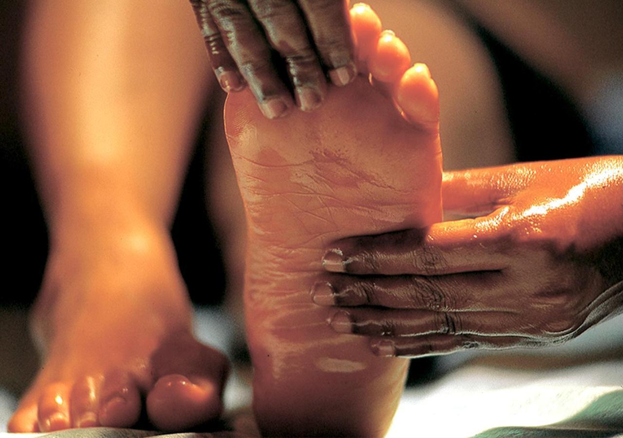 Siddhalepa Ayurveda Resort - All Meals, Ayurveda Treatment And Yoga Wadduwa Eksteriør billede